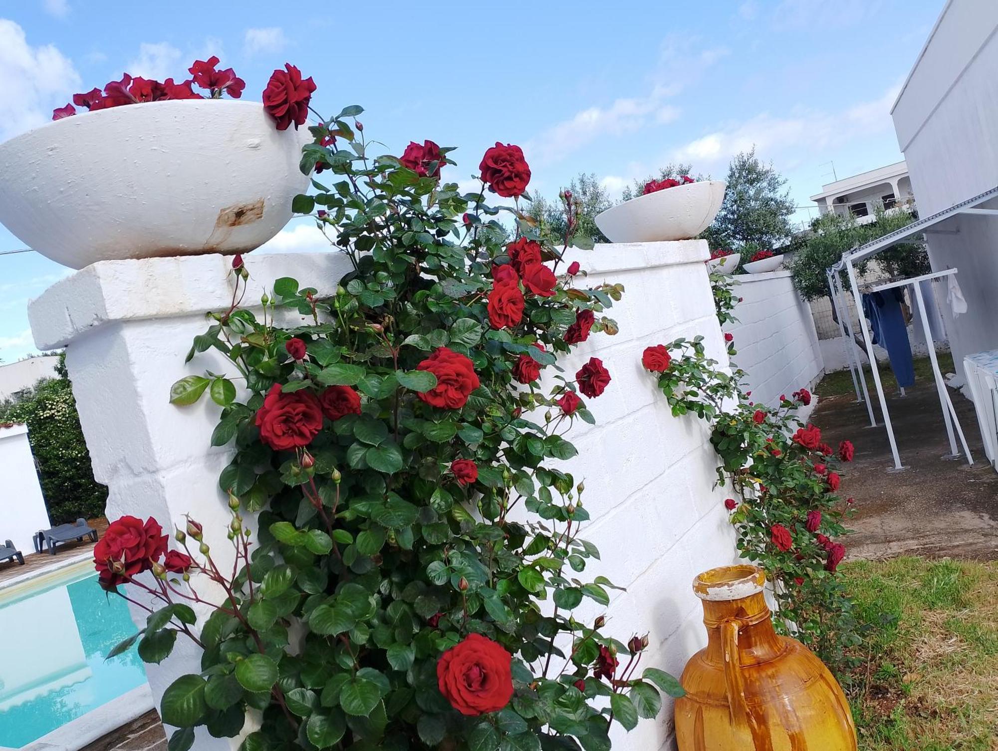 Hotel La Dimora Di Nonna Giuliana Ostuni Exteriér fotografie